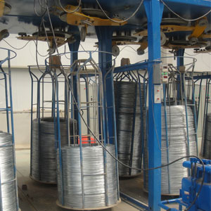 Electro Galvanized Coil Wire