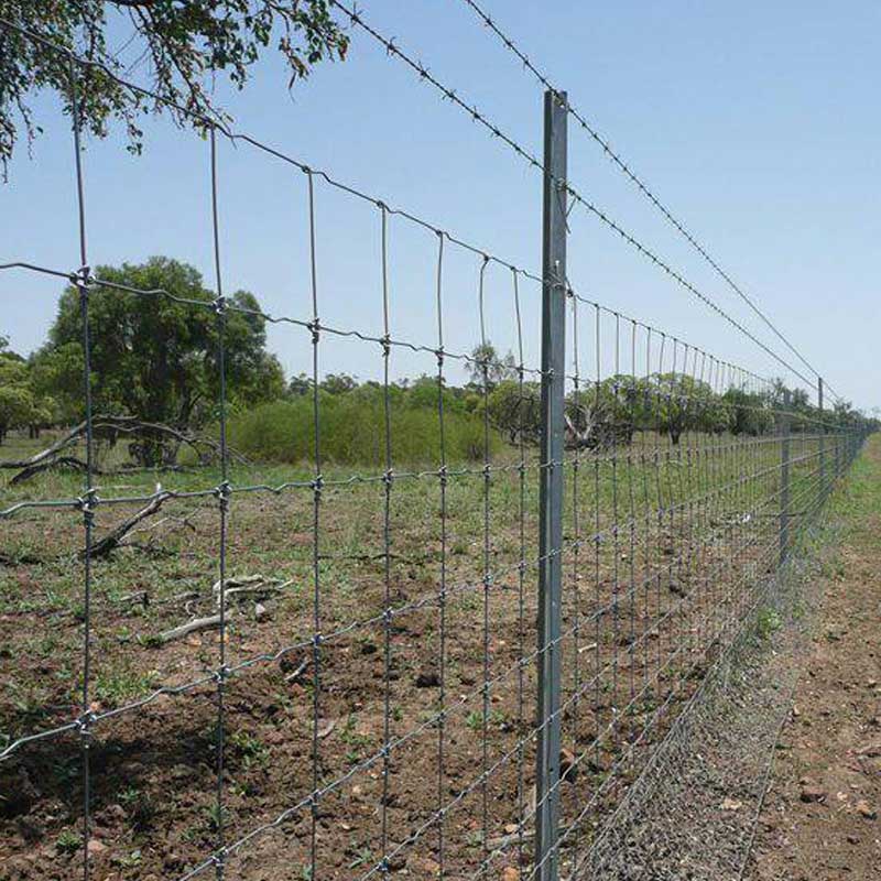 Farm Fence