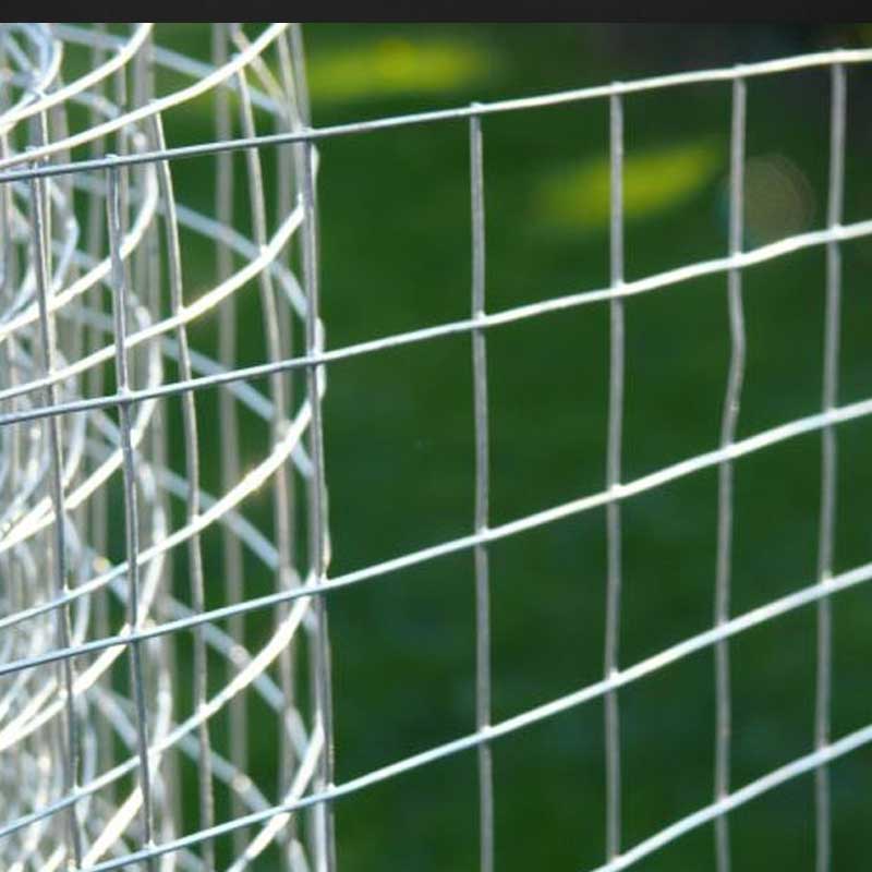 Welded Wire Mesh Roll