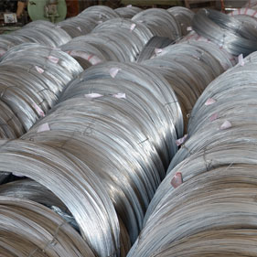 Galvanized Iron Wire