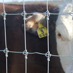Farm Fence